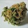 Flores secas de la planta Cannabis sativa. Los tricomas contienen grandes cantidades de tetrahidrocannabinol (THC), cannabidiol (CBD) y otros cannabinoides. Fuente: Wikipedia. Autor: Ryan Bushby