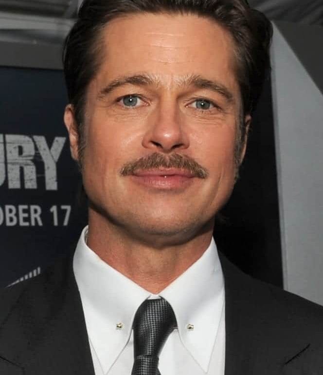 Brad Pitt. Fuente: Wikipedia. Autor: DoD News Features