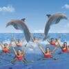 Mundomar estrena su nuevo espectáculo de natación sincronizada con delfines