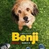 Benji (2018), de Brandon Camp