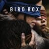 A Ciegas (Bird in the Box). Netflix