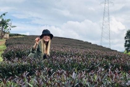 El té morado aterrizará en España y Argentina de la mano de El Club del Té