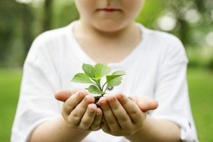 Consejos para educar a un niño en pro del medio ambiente segun Mapanda