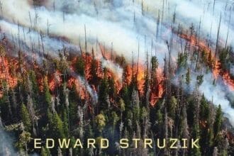 Out This Week: "Firestorm" by Edward Struzik