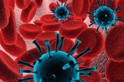 ¿Qué se puede hacer para reducir la propagación de los virus? Consejos del Grupo Berni