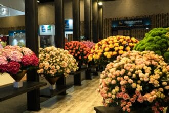 Colombia's preserved flowers brighten Mother's Day