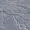 Los científicos han utilizado el satélite ICESat-2 de la NASA para medir el grosor del hielo marino Ártico, así como la profundidad de la nieve en el hielo.? Image Credit: NASA/Jeremy Harbeck?