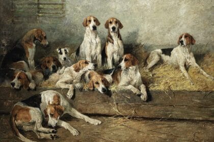The Bitch Pack of the Meath Foxhounds by John Emms. Estimate: £180,000-250,000