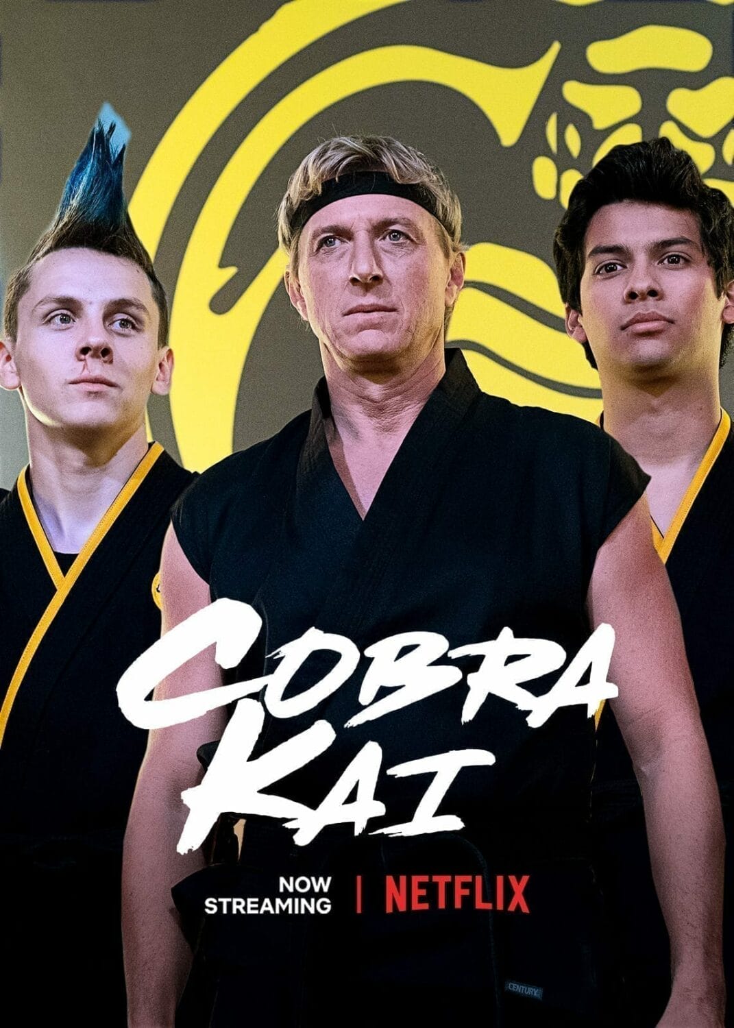 Cobra Kai Temporada 3. Estreno Netflix
