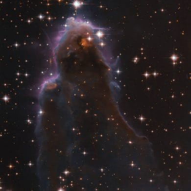 ESA/Hubble & NASA, R. Sahai