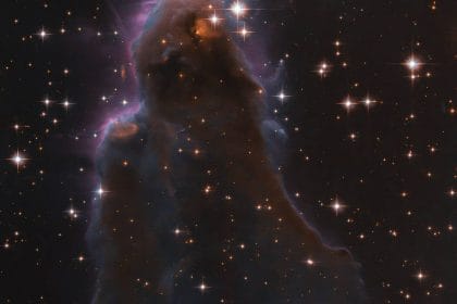ESA/Hubble & NASA, R. Sahai