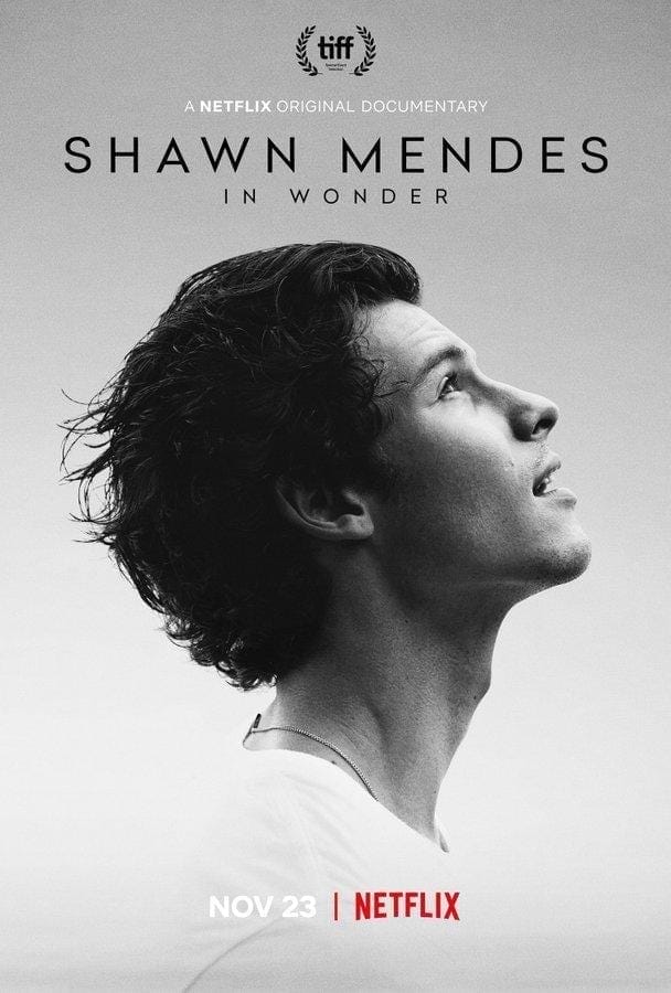 Shawn Mendes: In Wonder (2020). Netflix
