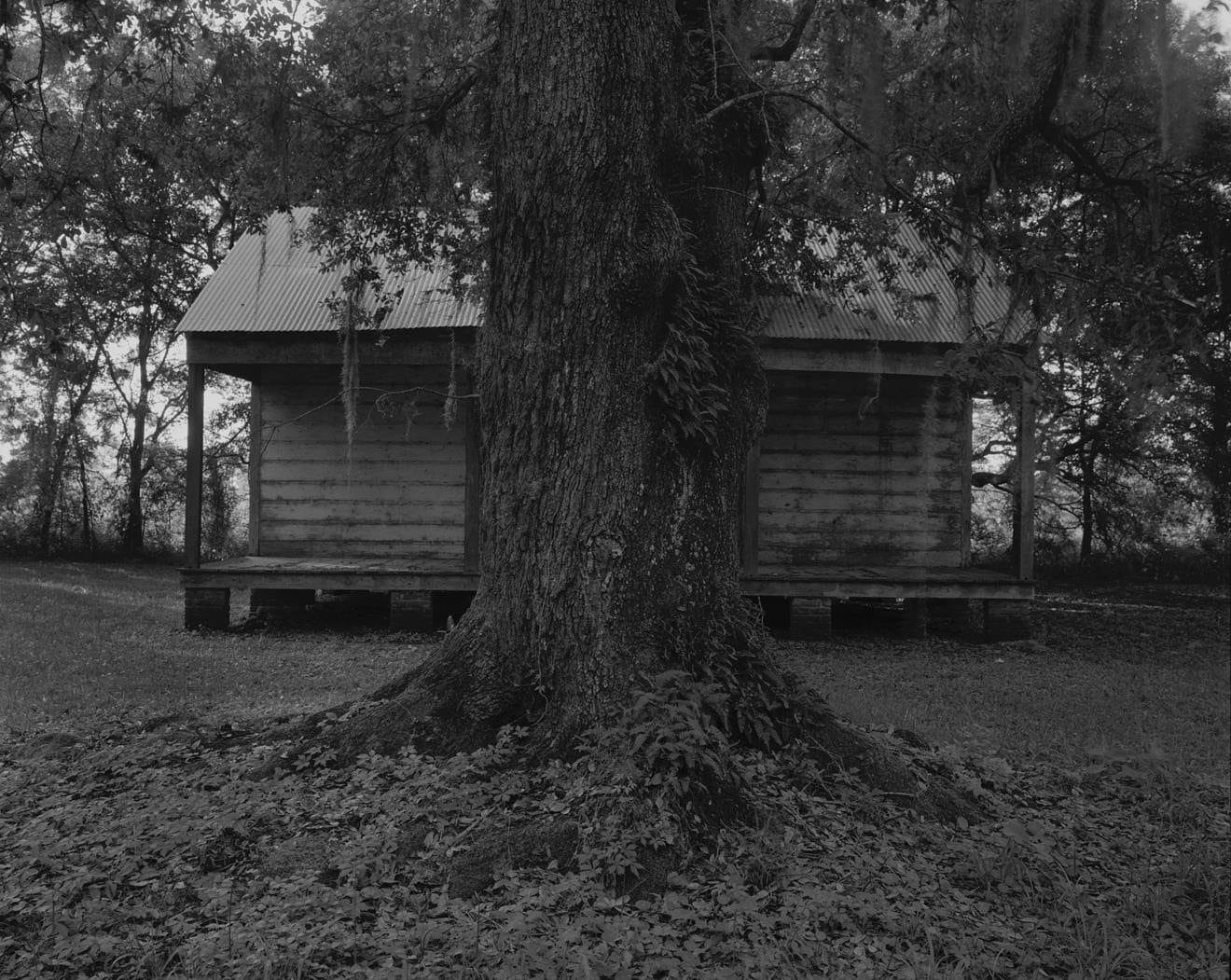 Dawoud Bey, Tree and Cabin, 2019, gelatin silver print, paper: 48 x 59 inches (121.9 x 149.9 cm), edition of 6 with 2 APs © Dawoud Bey Courtesy: Sean Kelly, New York © Dawoud Bey Courtesy: Sean Kelly, New York