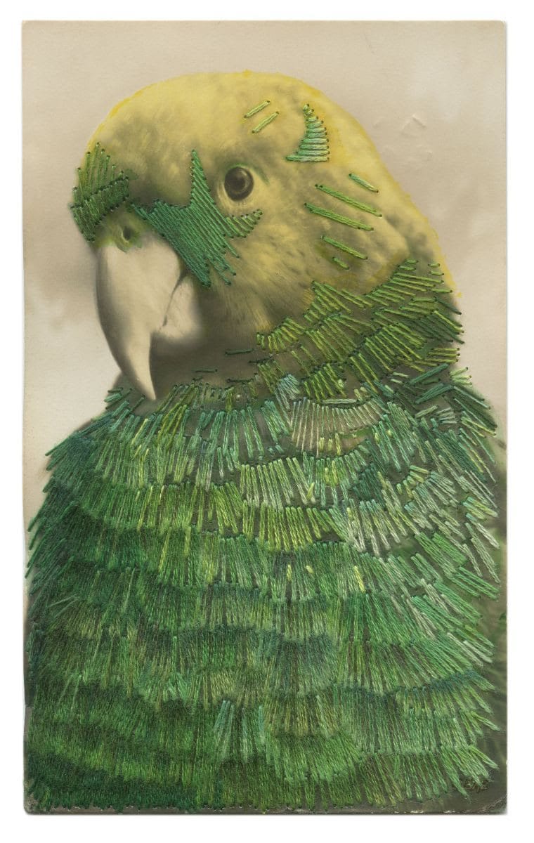 Julie Cockburn, There’s the Green Parrot, 2021, hand embroidery and ink on a found postcard