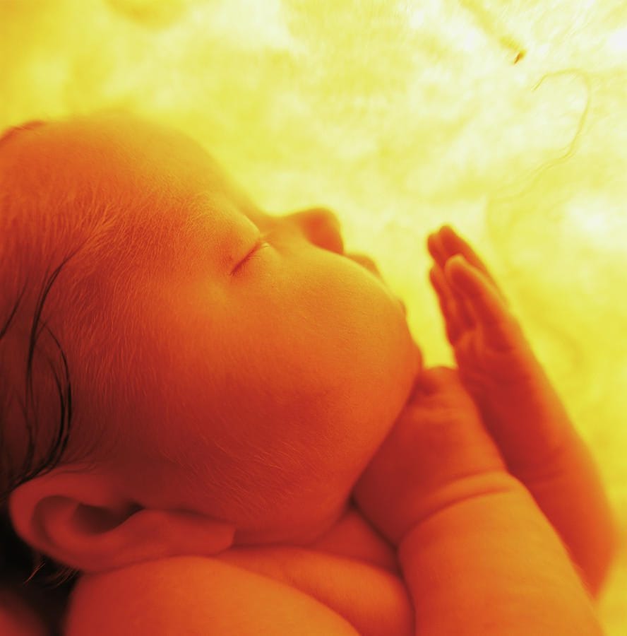 Masscult Anne Geddes Baby in Womb