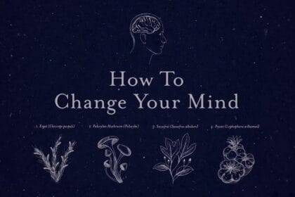 how to change your mind 658457211 large
