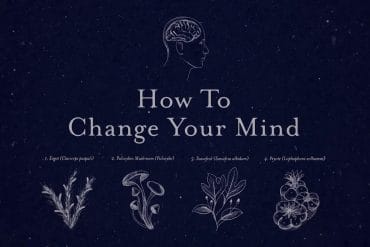 how to change your mind 658457211 large