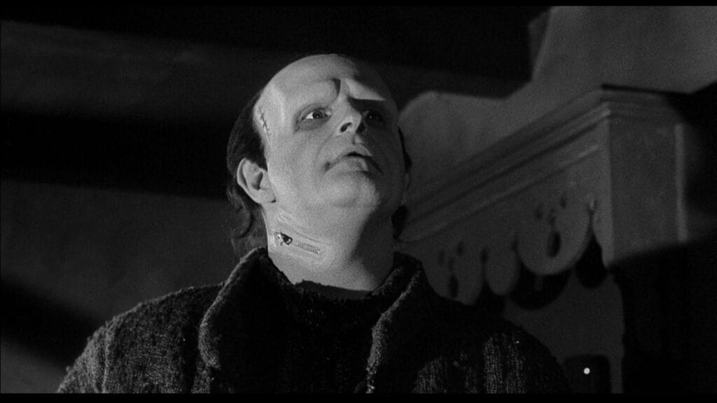 El Jovencito Frankenstein, Película 1974. Crítica