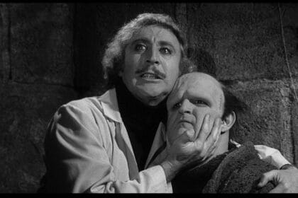 young frankenstein 357560893 large