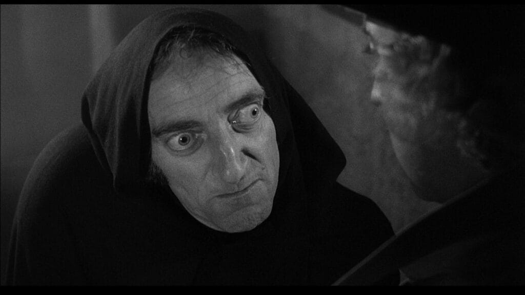 El Jovencito Frankenstein, Película 1974. Crítica
