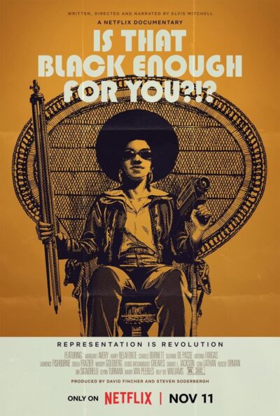 ¿¡Soy lo Bastante Negro para ti!?