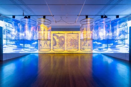 Installation view: Nalini Malani: Gamepieces, featuring Gamepieces by Nalini Malani, Art Gallery of South Australia, Adelaide, photo: Saul Steed.