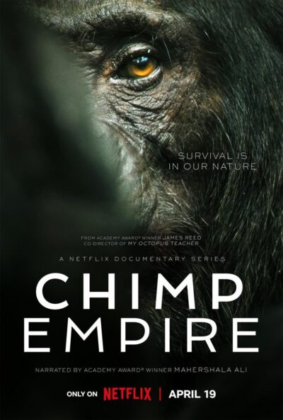 L'Empire des chimpanzés documentaire netflix