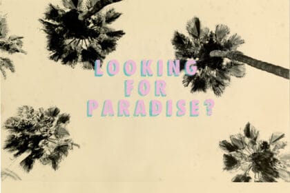 Bruno V. Roels: Looking for Paradise