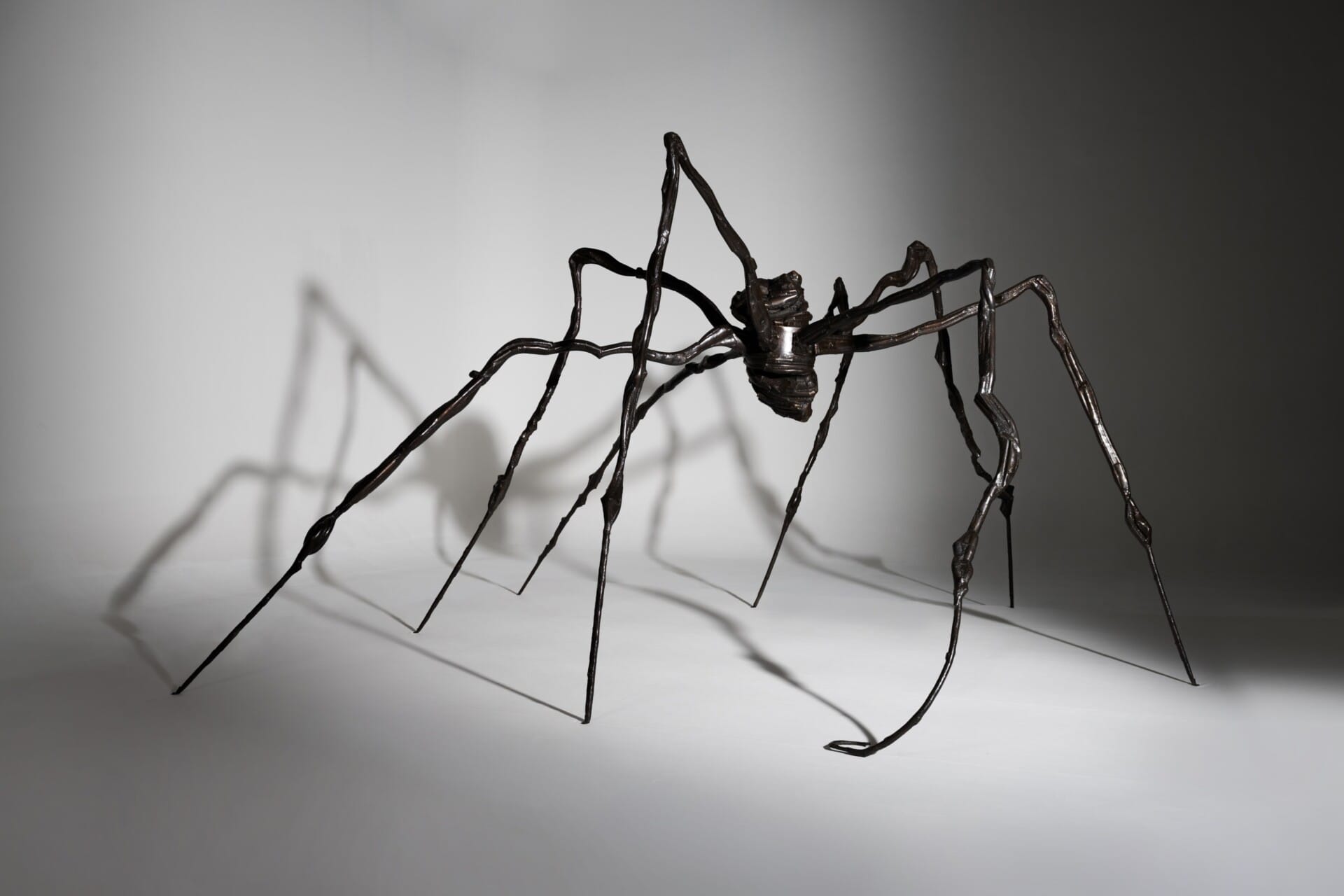 Louise Bourgeois, Spider - Photo by Edouard Fraipont