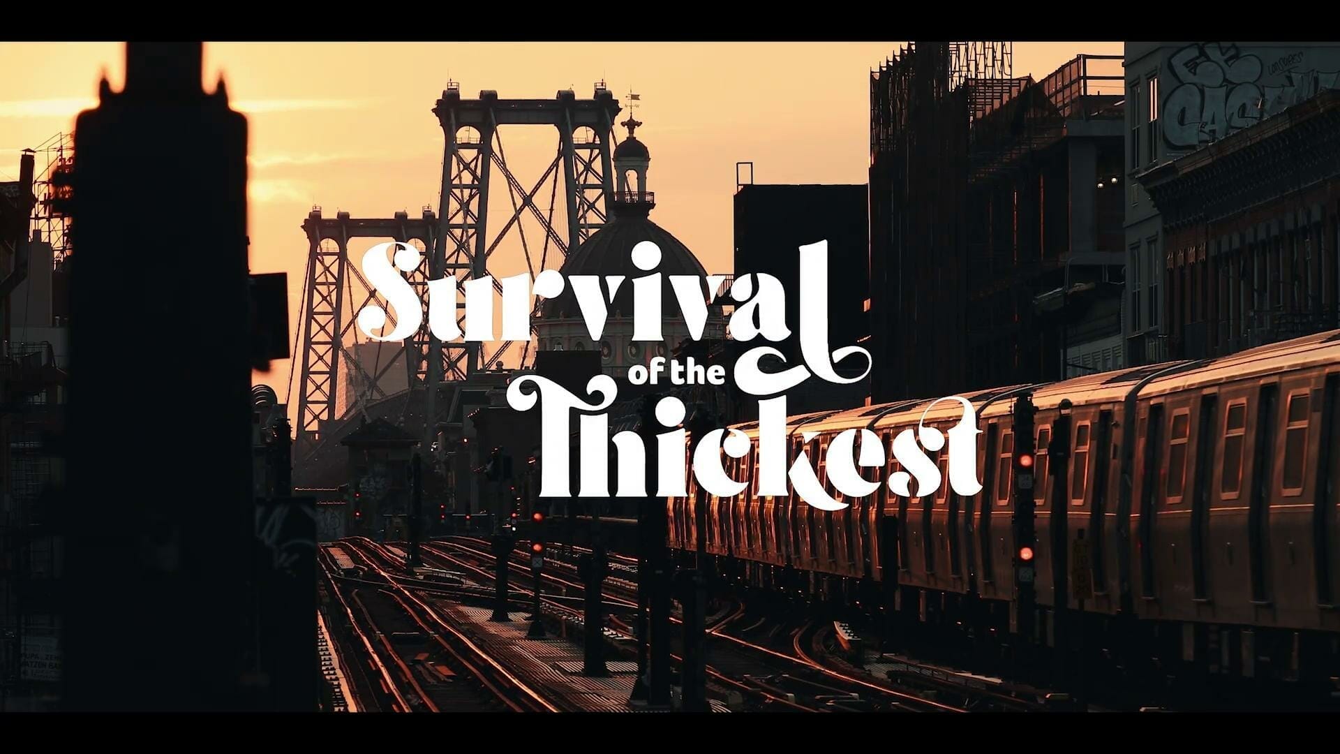 survival of the thickest 633372174 large