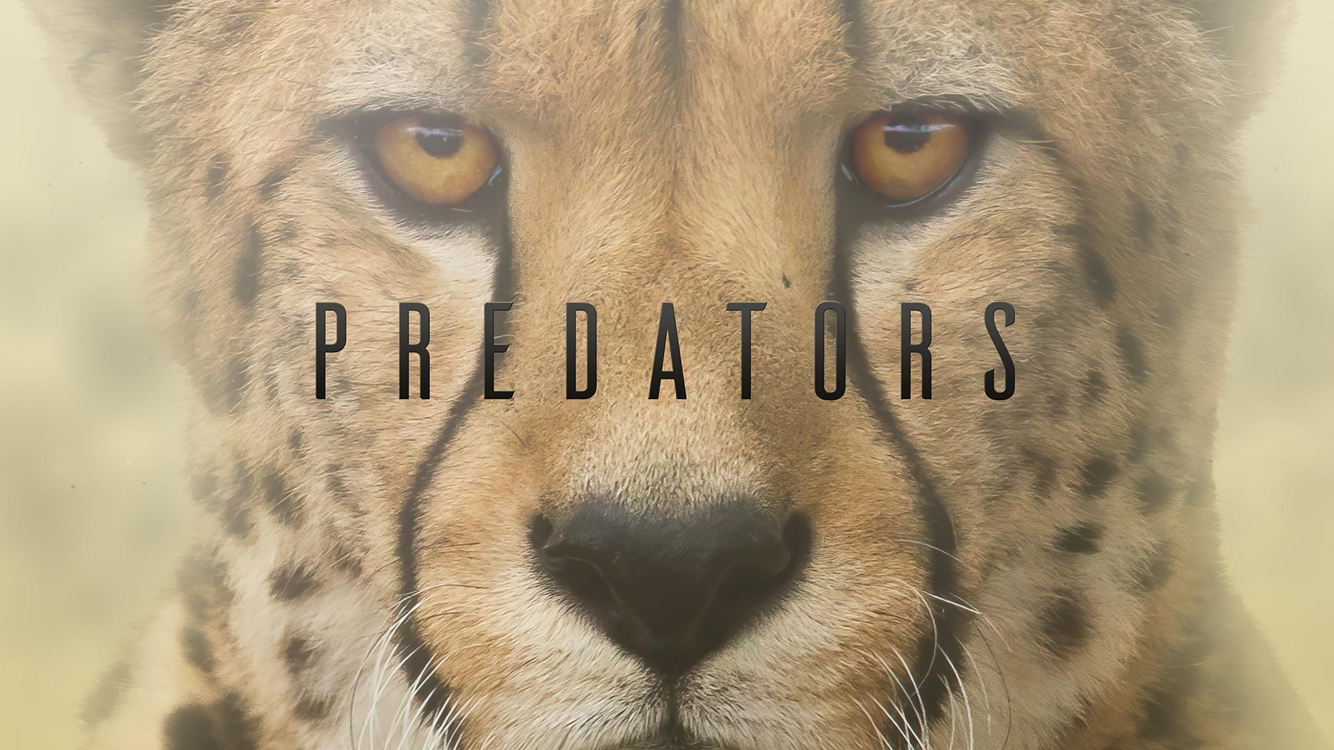 Predadores