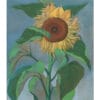 Sunflower by Ithell