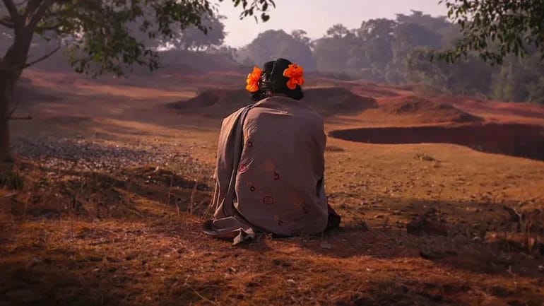 Matar um Tigre (2022) Um documentário da Netflix: Uma Verdade Inquietante sobre Justiça, Drama e Intolerância na Índia