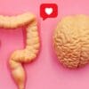 Descifra tu salud: Los secretos del intestino